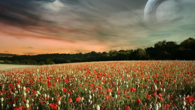 Flutter 为什么没有一款好用的UI框架?